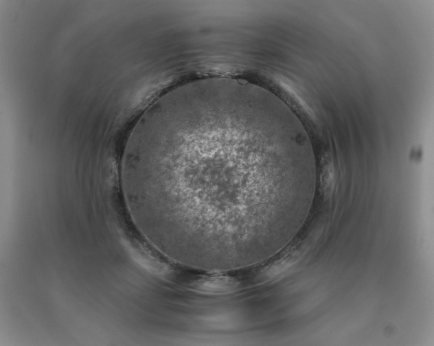 X0000091060459200708061245