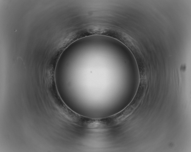 X0000091060460200708061245
