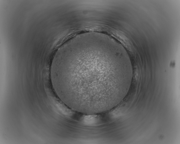X0000091060461200708061245