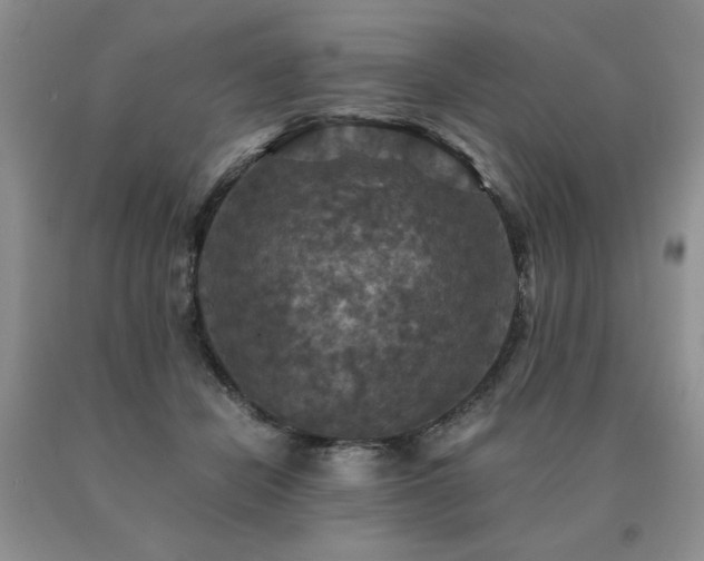 X0000091060462200708061245