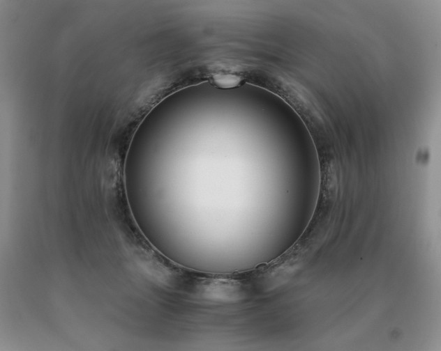 X0000091060463200708061245
