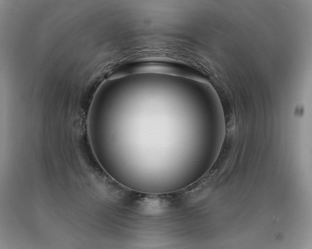 X0000091060464200708061245
