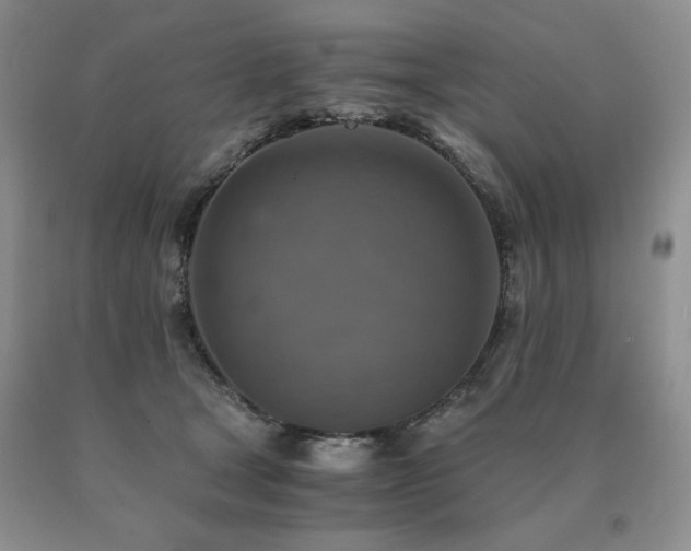X0000091060465200708061245