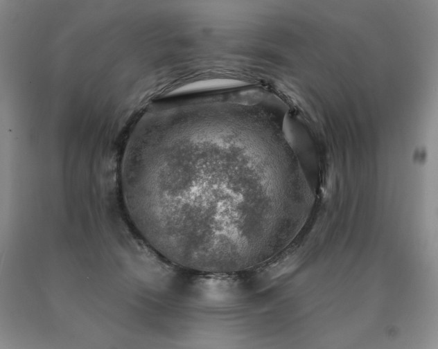 X0000091060466200708061245