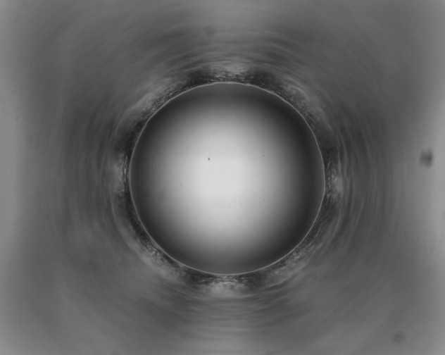 X0000091060468200708061245