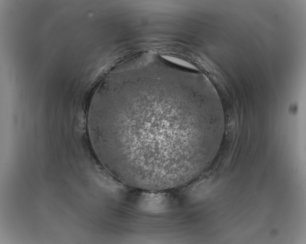 X0000091060469200708061245
