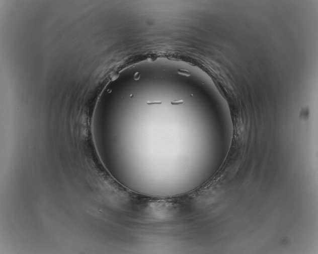 X0000091060470200708061245