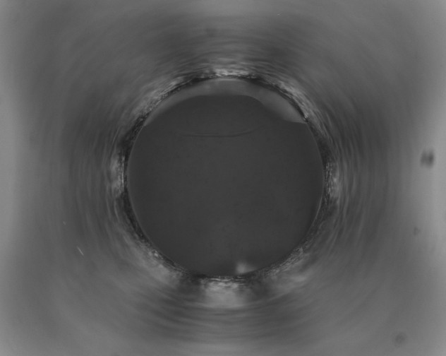X0000091060471200708061245