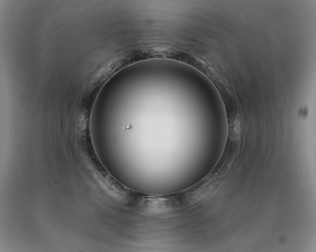 X0000091060472200708061245