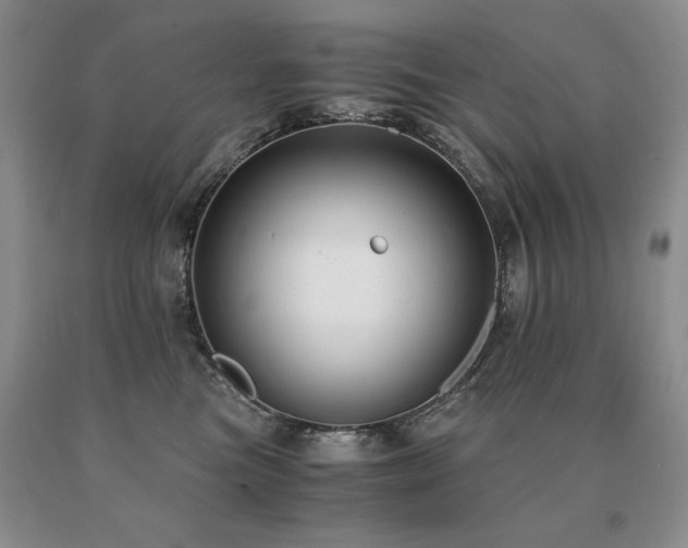 X0000091060473200708061245