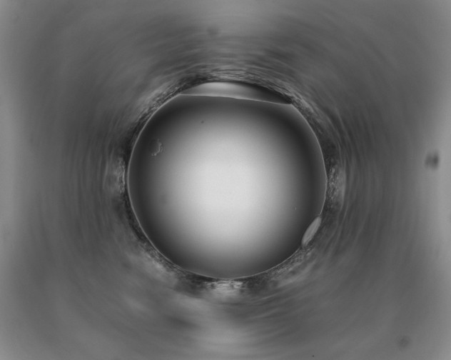 X0000091060474200708061245