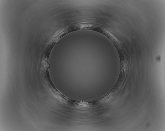 X0000091060475200708061245