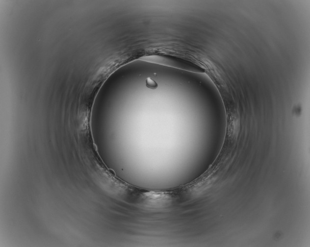 X0000091060477200708061245