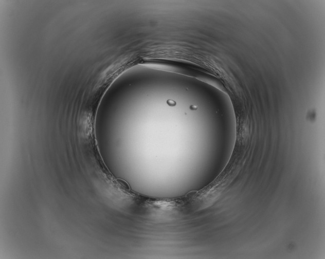 X0000091060478200708061245