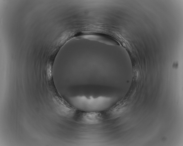 X0000091060479200708061245