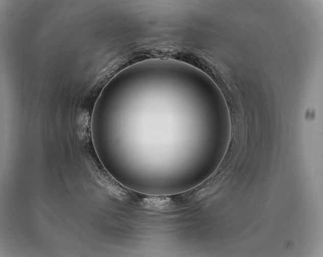 X0000091060480200708061245