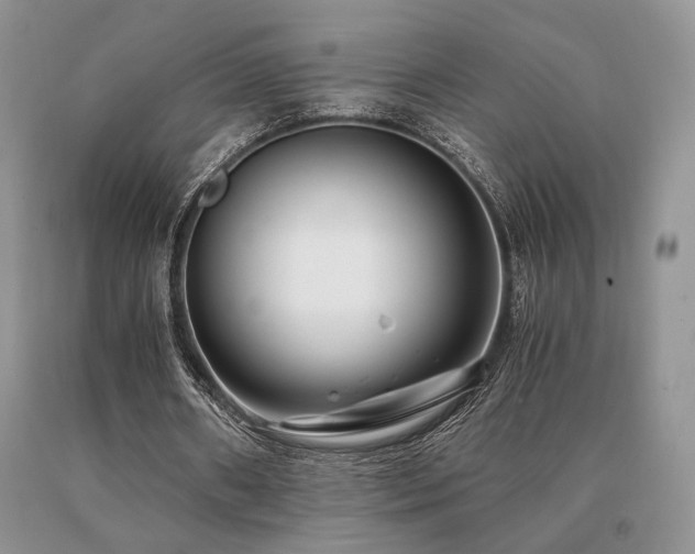 X0000091060482200708061245