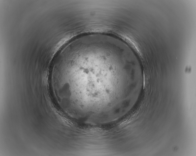 X0000091060483200708061245