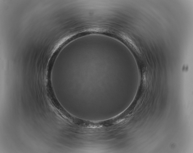 X0000091060484200708061245