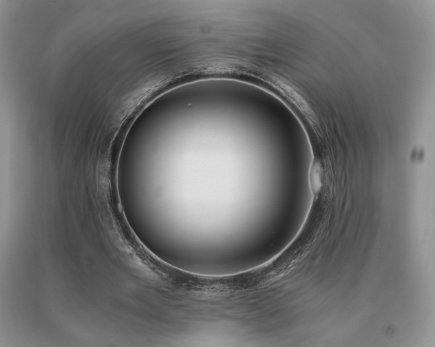 X0000091060485200708061245