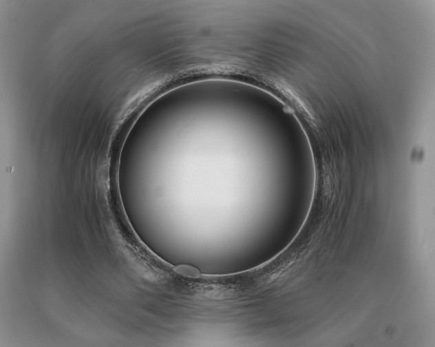 X0000091060486200708061245