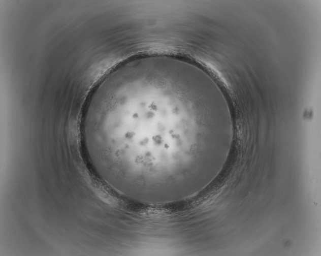 X0000091060487200708061245