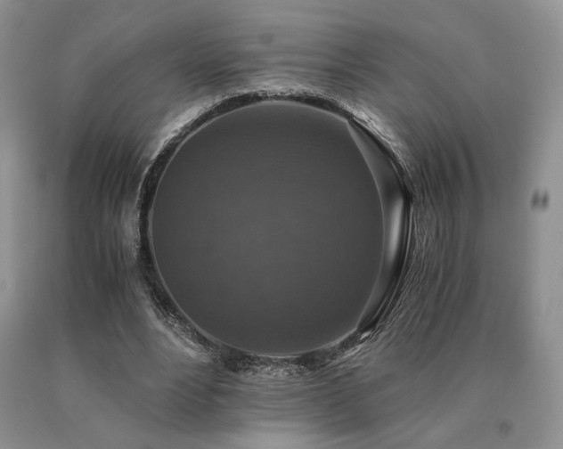 X0000091060488200708061245