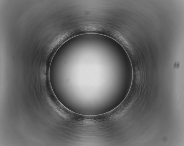X0000091060490200708061245