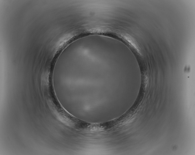 X0000091060491200708061245