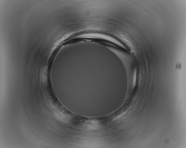 X0000091060492200708061245