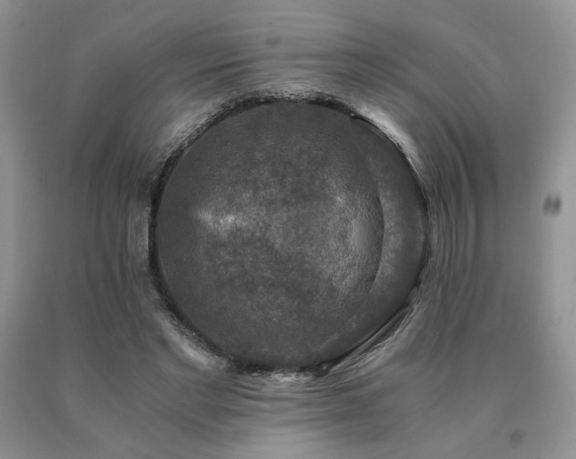 X0000091060493200708061245