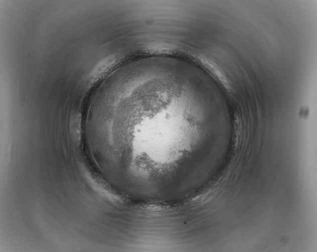 X0000091060494200708061245