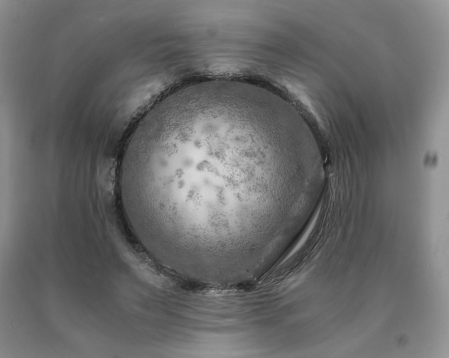 X0000091060495200708061245