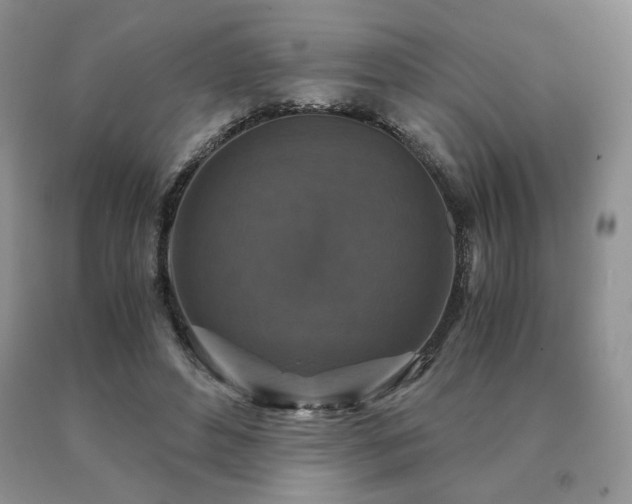 X0000091060496200708061245