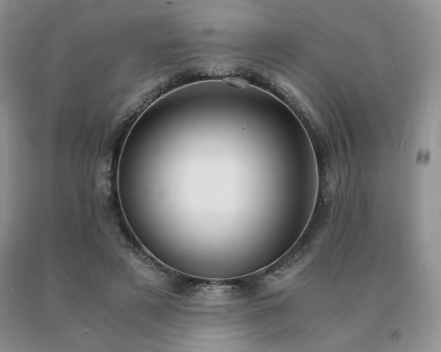 X0000091060497200708061245