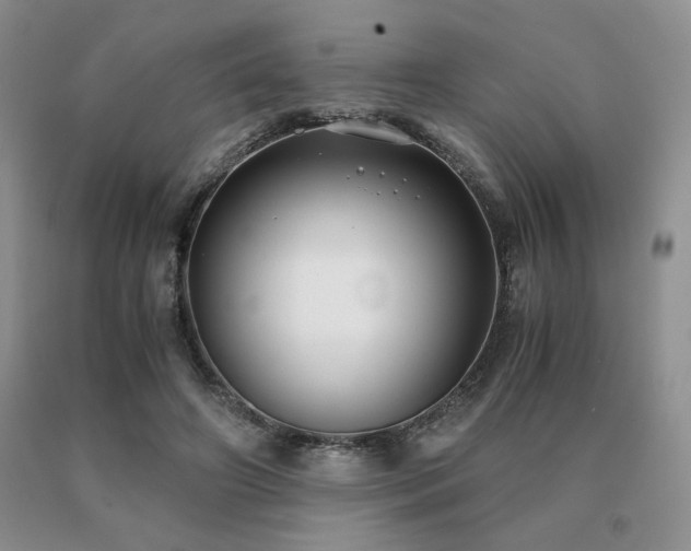 X0000091060498200708061245
