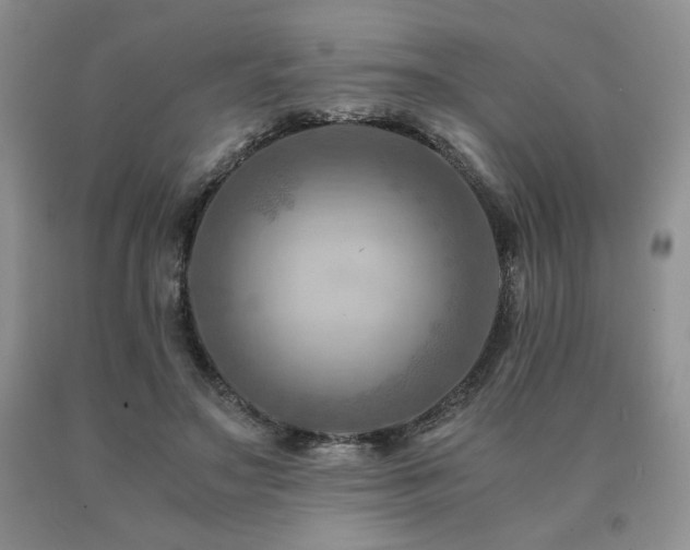 X0000091060499200708061245