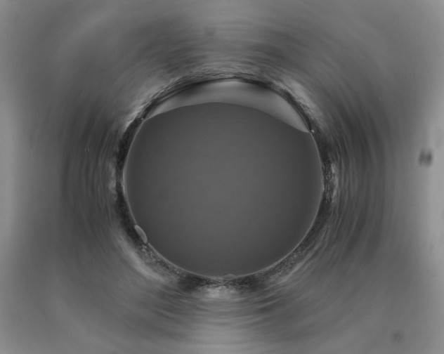 X0000091060500200708061245