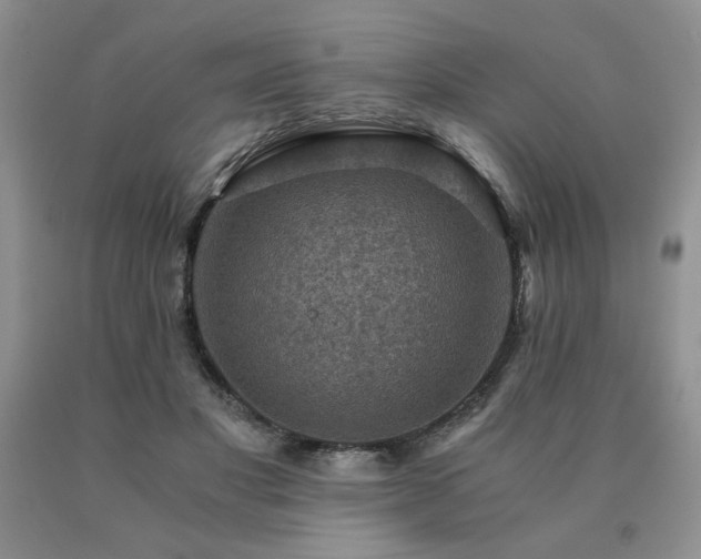 X0000091060501200708061245