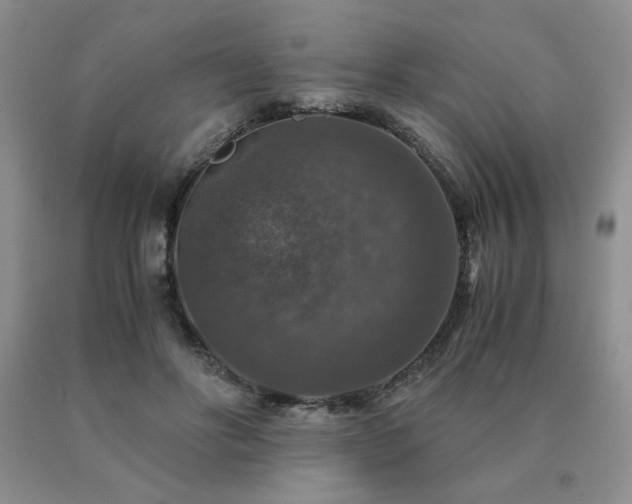 X0000091060502200708061245