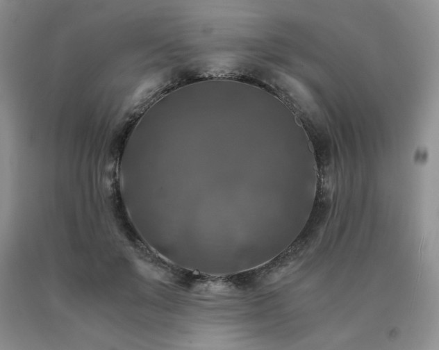 X0000091060503200708061245