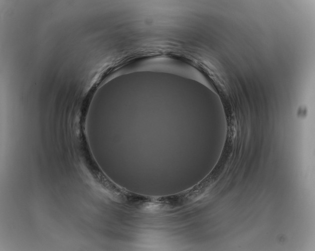 X0000091060504200708061245