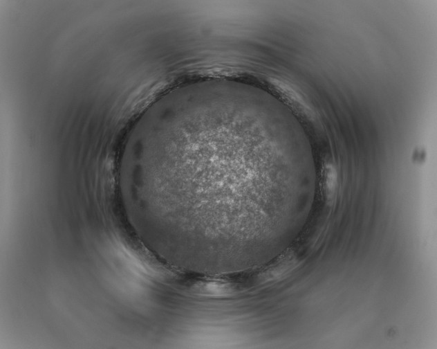 X0000091060506200708061245