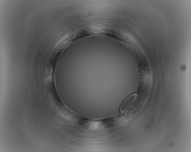 X0000091060507200708061245