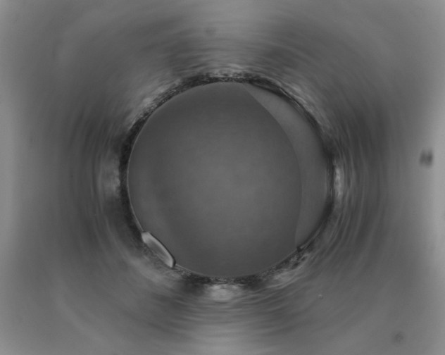 X0000091060508200708061244