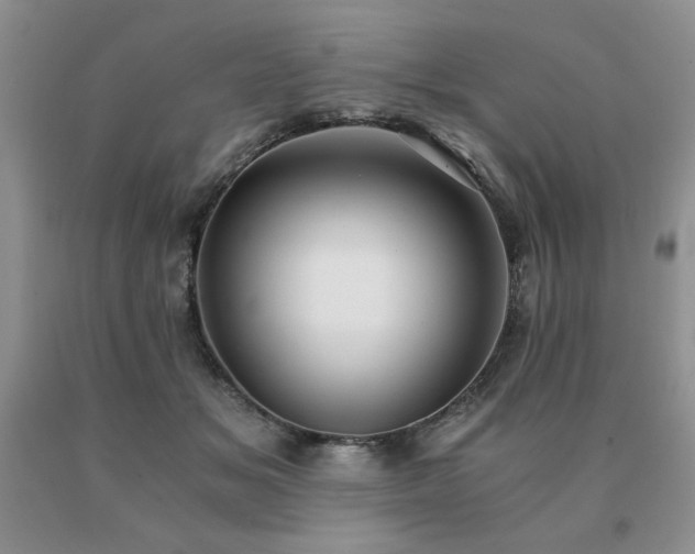 X0000091060509200708061244