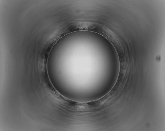 X0000091060510200708061244