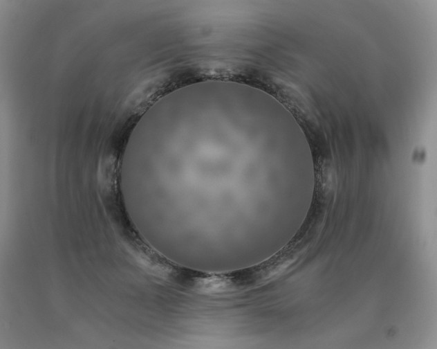 X0000091060511200708061244