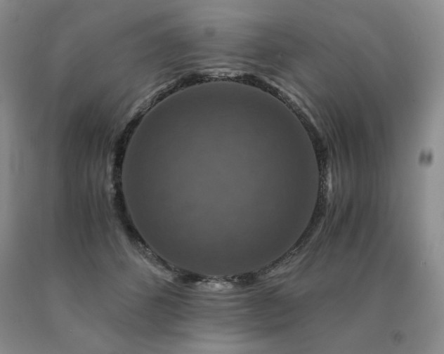X0000091060512200708061244