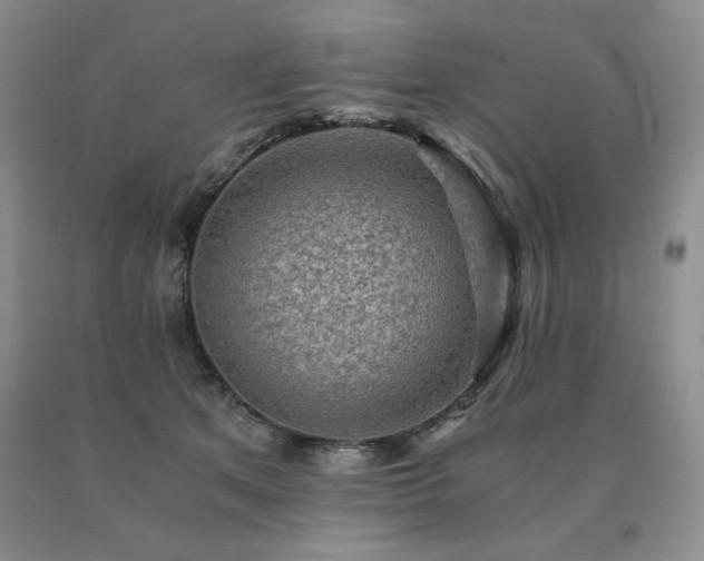 X0000091060513200708061244